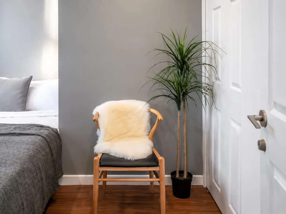 Bedroom corner with chair and plant